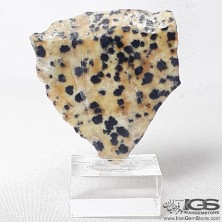 سنگ دالماتیان (دالمیشن جاسپر)