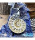 گردنبند آمونیت فسیل دفع انرژی منفی بدون زنجیر fossil ammonite