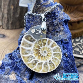گردنبند آمونیت فسیل دفع انرژی منفی بدون زنجیر fossil ammonite