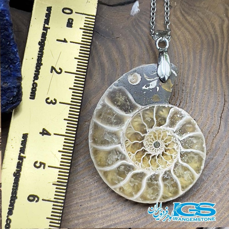 گردنبند آمونیت فسیل دفع انرژی منفی بدون زنجیر fossil ammonite