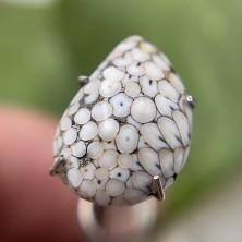 سنگ فسیل پوست مار نگین جواهری Snake fossil