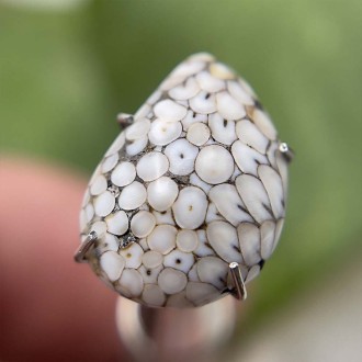 سنگ فسیل پوست مار نگین جواهری Snake fossil