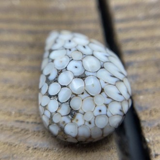 سنگ فسیل پوست مار نگین جواهری Snake fossil