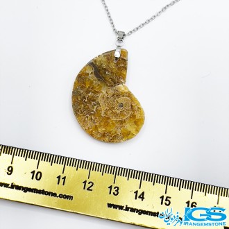 گردنبند آمونیت دفع انرژی منفی  بدون زنجیر