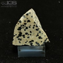 سنگ دالماتیان (دالمیشن جاسپر)