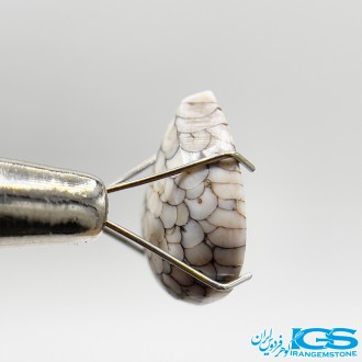 نگین سنگ فسیل پوست مار