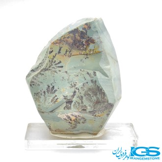 سنگ دندریت فسیل شجر دار