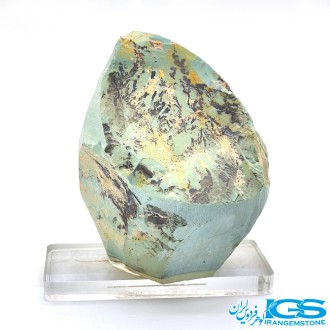 سنگ دندریت فسیل شجر دار