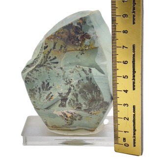 سنگ دندریت فسیل شجر دار