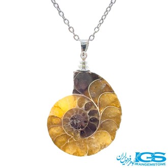 گردنبند آمونیت دفع انرژی منفی  بدون زنجیر