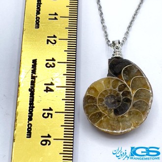 گردنبند آمونیت دفع انرژی منفی  بدون زنجیر