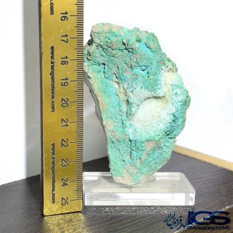 سنگ راف کریزوکولا  کلکسیونی