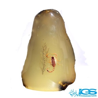 کهربا عقرب دار شب چراغ دکوری کلکسیونی رومیزی