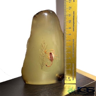 کهربا عقرب دار شب چراغ دکوری کلکسیونی رومیزی