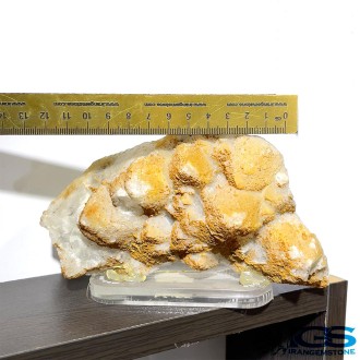 راف فلوریت زرد