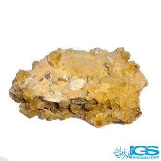 راف فلوریت زرد