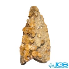 راف فلوریت زرد