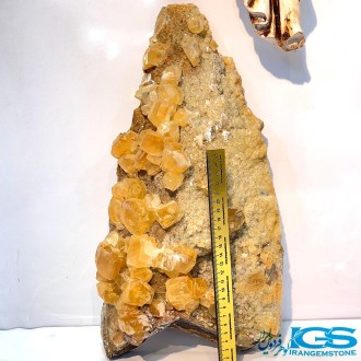 راف فلوریت زرد