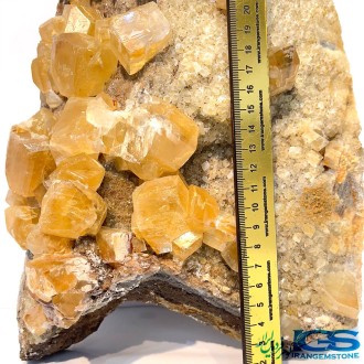 راف فلوریت زرد