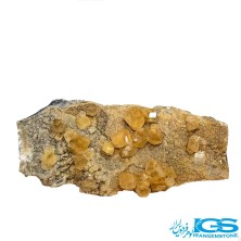 راف فلوریت زرد