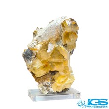 راف فلوریت زرد