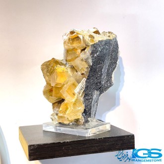 راف فلوریت زرد