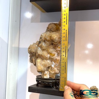 راف فلوریت زرد