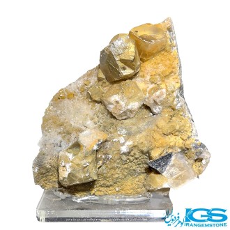 راف فلوریت زرد