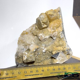 راف فلوریت زرد