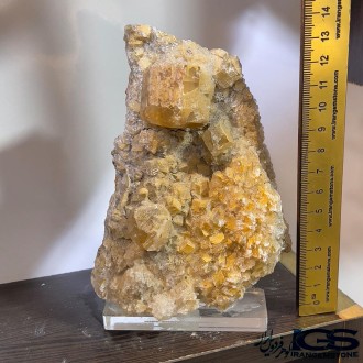 راف فلوریت زرد