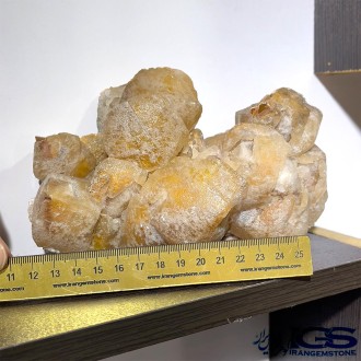 راف فلوریت زرد