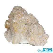 راف فلوریت زرد