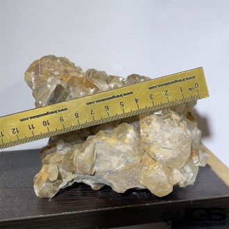 راف فلوریت زرد