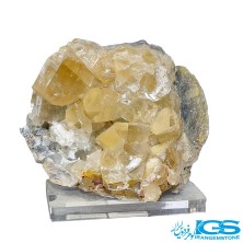 راف فلوریت زرد