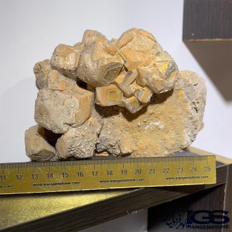 راف فلوریت زرد