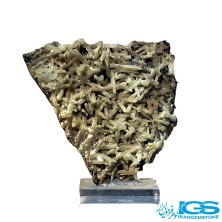 سنگ کلکسیونی اپیدوت