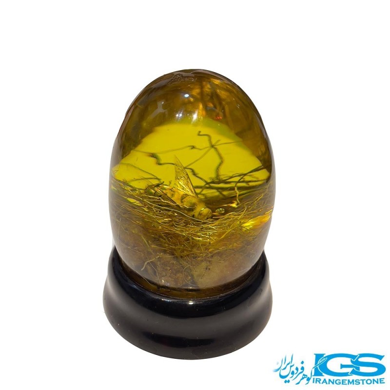 کهربا زنبور دار دکوری کلکسیونی رومیزی