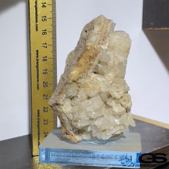 کلسیت راف کلکسیونی دکوری