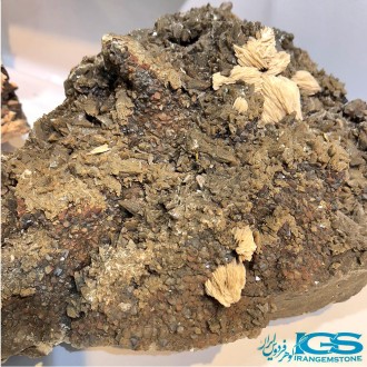 کلسیت راف کلکسیونی دکوری