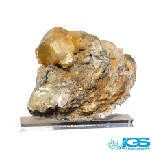 راف فلوریت زرد