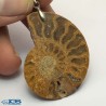 آویز سنگ آمونیت فسیل طبیعی آمونیت fossil ammonite