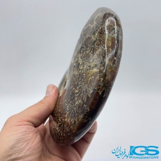 سنگ آمونیت فسیل طبیعی آمونیت
