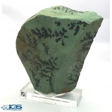 سنگ کلکسیونی دندریت Dendrite فسیل شجر دار