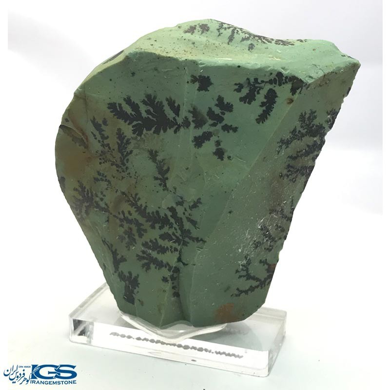 سنگ کلکسیونی دندریت Dendrite فسیل شجر دار