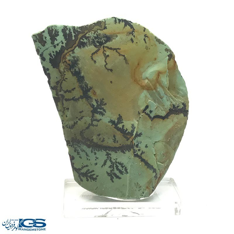 سنگ کلکسیونی دندریت Dendrite فسیل شجر دار