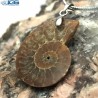 آویز فسیل آمونیت fossil ammonite