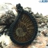 آویز بافت مکرومه فسیل آمونیت fossil ammonite