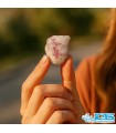 سنگ یاقوت سرخ راف