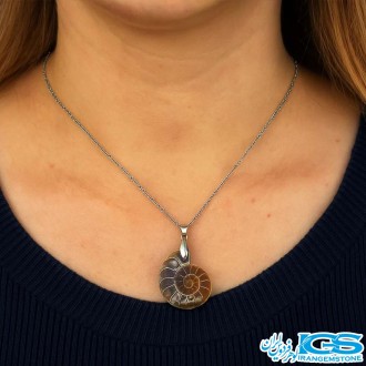 گردنبند فسیل آمونیت | نماد انرژی حیات و تحول بدون زنجیر