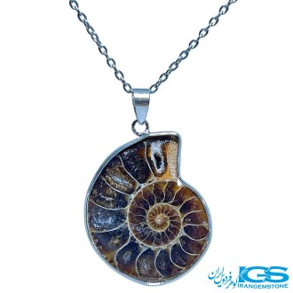 گردنبند فسیل آمونیت | نماد انرژی حیات و تحول بدون زنجیر